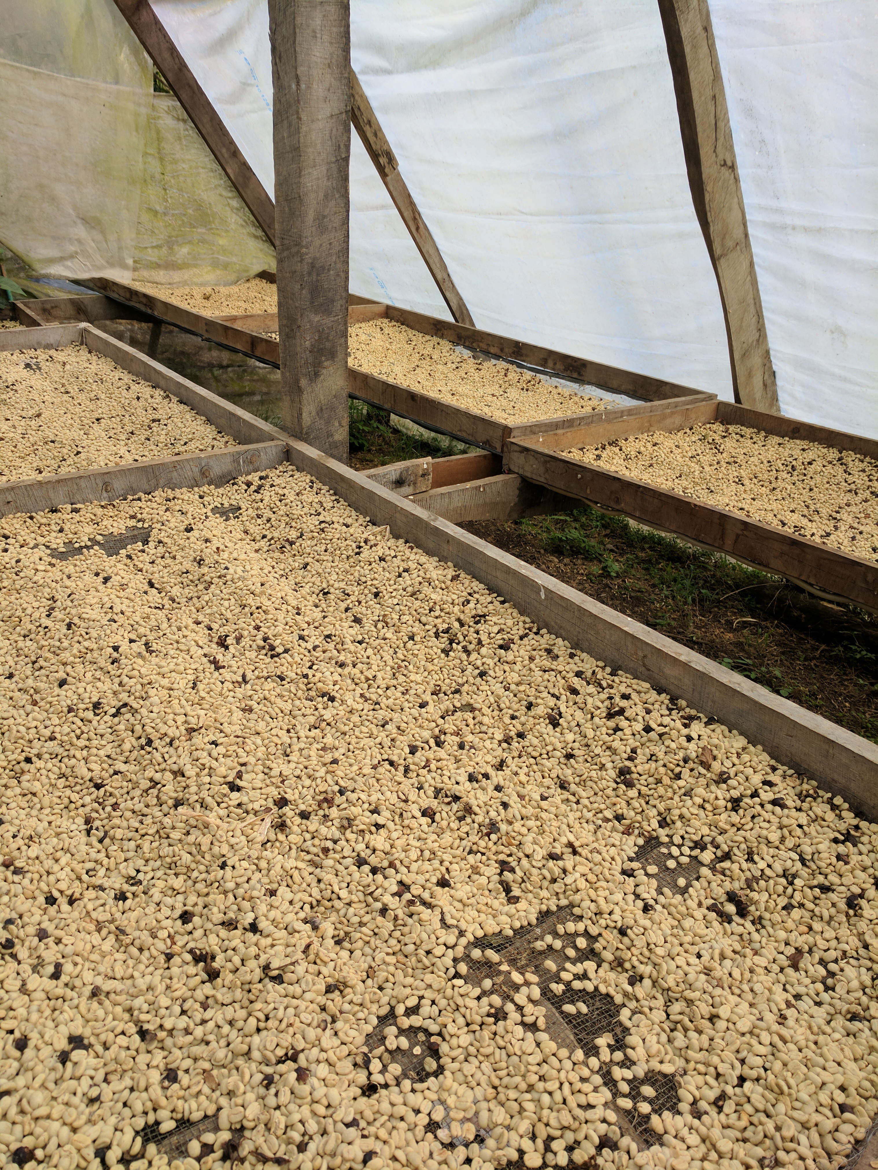 el-llano-drying-beds.jpg